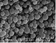 High Purity Cobalt Aluminum Oxide Nanopowder, D50 = +10 nanometer (nm) by SEM
