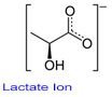 Lactate Formula Diagram (CH3CH(OH)COO−)