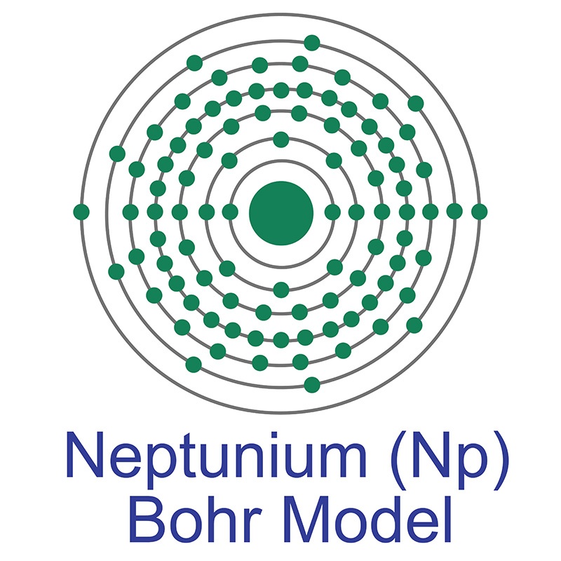 Neptunium Bohr Model
