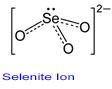 Selenite Ion
