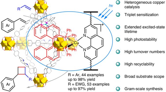 University of Hong Kong scientists create heterogeneous copper photocatalyst for efficient cyclobutane ring formation