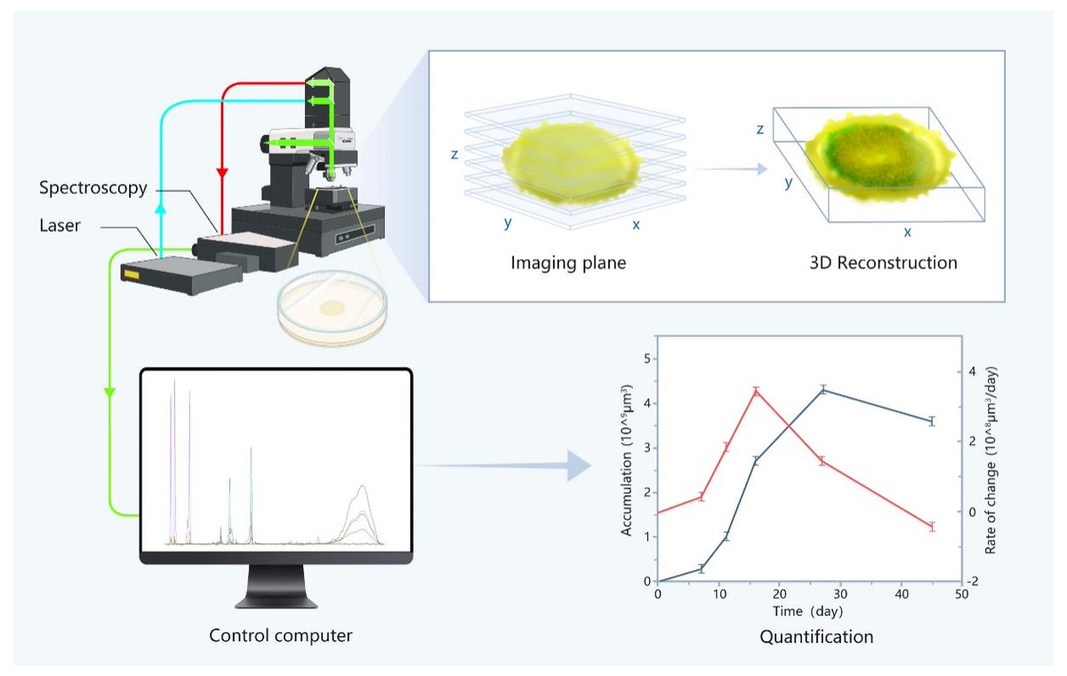 Scientists Apply Raman Quantitative 3D Imaging to Microbial Monitoring