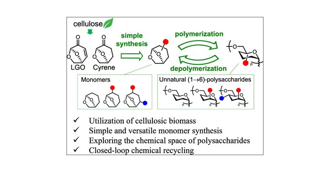 Hokkaido University researchers develop new method to make recyclable polymers from plant cellulose