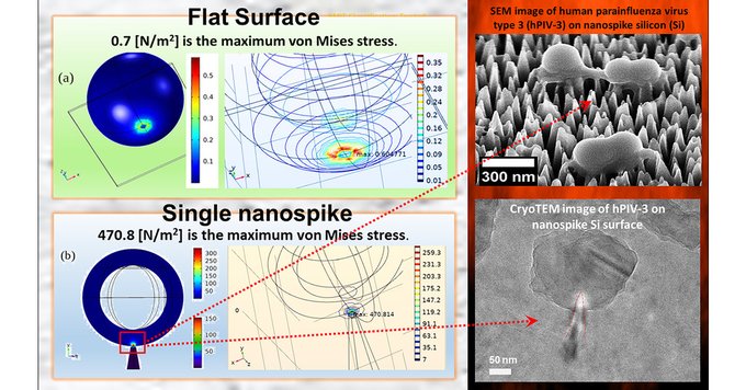 Researchers create chemical-free, virucidal surface featuring nanostructured silicon spikes