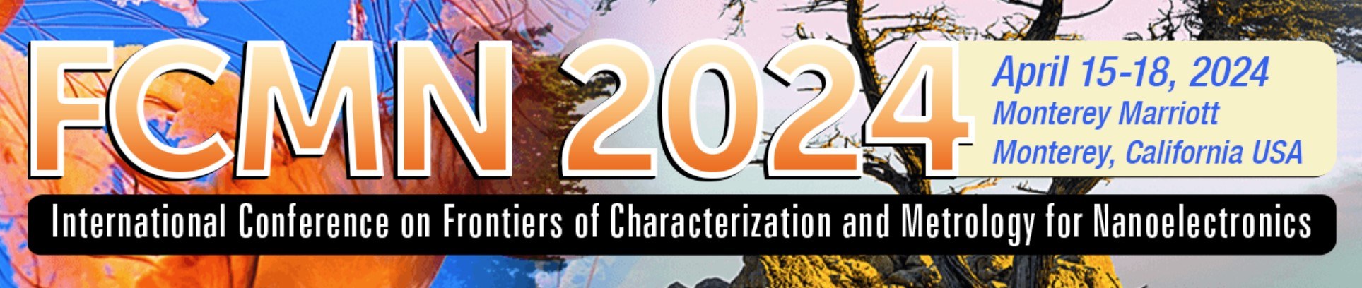 International Conference on Frontiers of Characterization and Metrology for Nanoelectronics - FCMN 2024