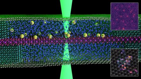 Graphene scientists capture first images of atoms &#039;swimming&#039; in liquid