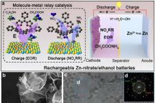 CityU scientists develop high-performance rechargeable zinc–nitrate/ethanol battery using bifunctional catalyst