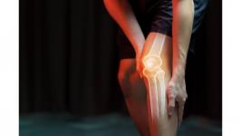 Novel hydrogel is strong enough for knees