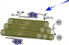 Ultrafast Interface Charge Separation in Carbon Nanodot–Nanotube Hybrids